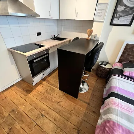Panoramic Centrum Apartament Antwerpia