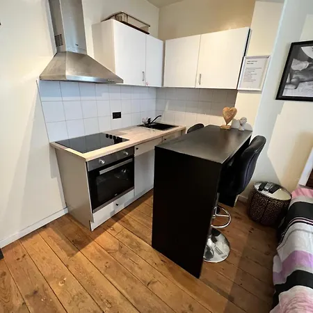 Apartament Panoramic Centrum Antwerpia